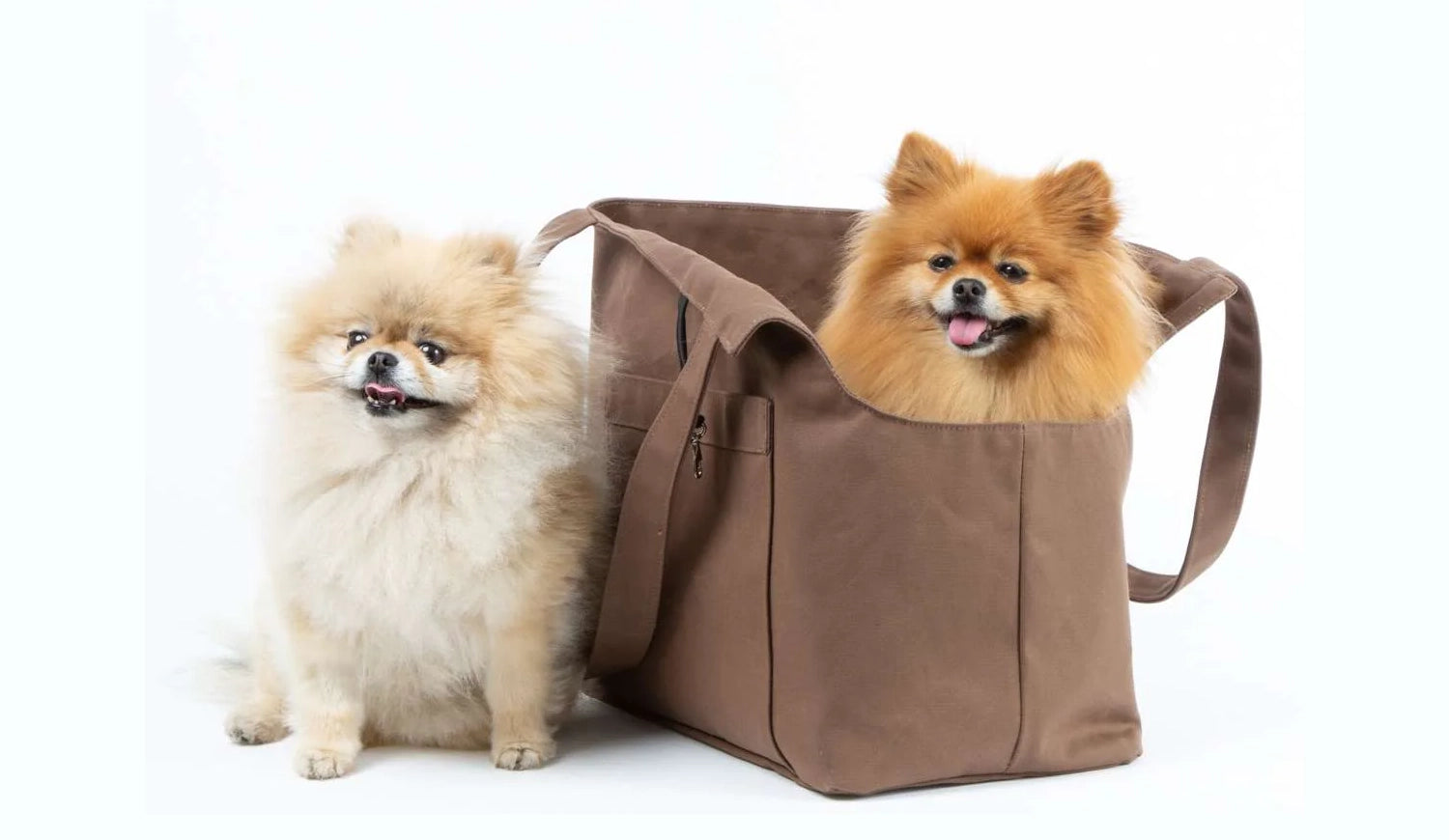 Pomeranian bag hotsell