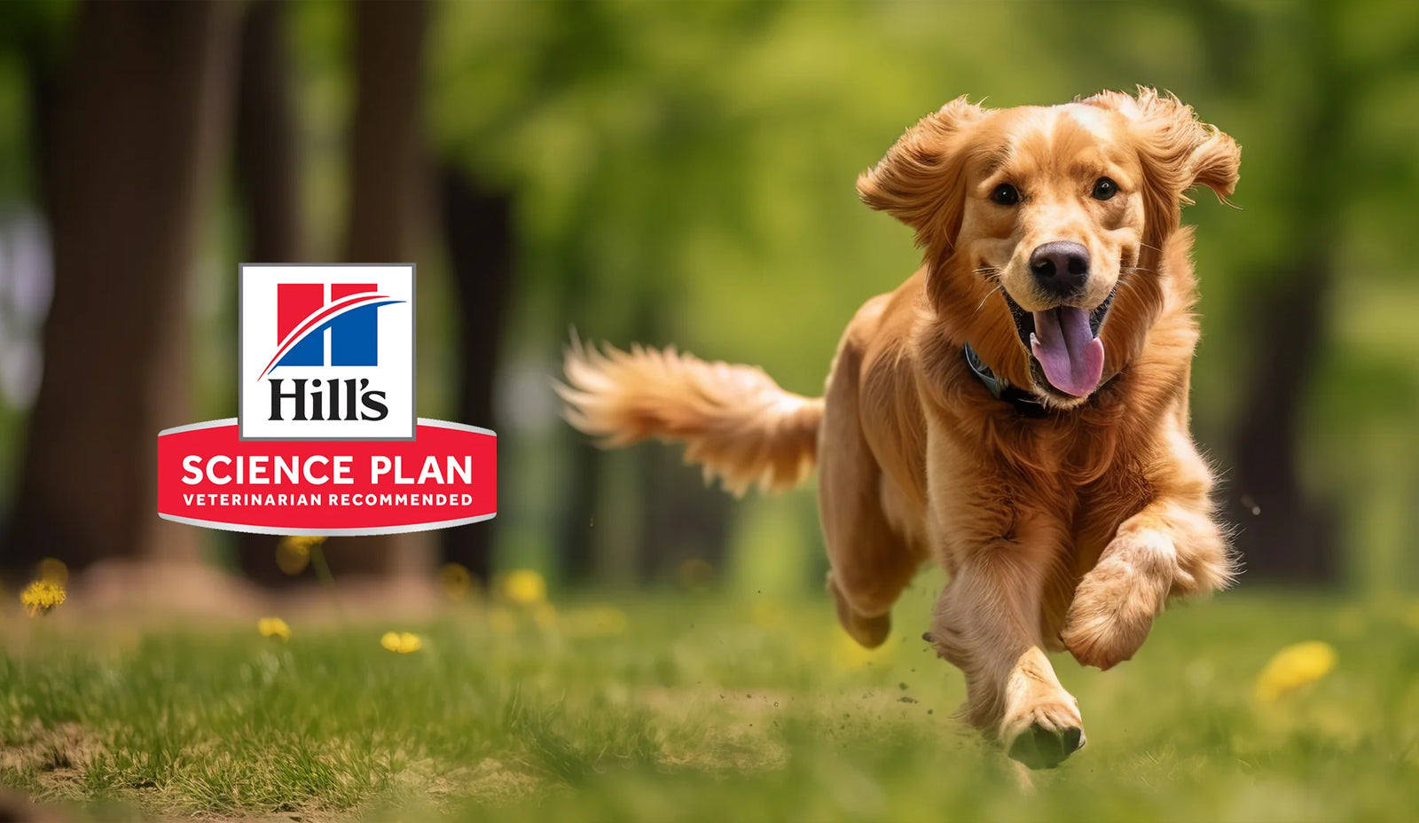 New Hills Pet Food Range