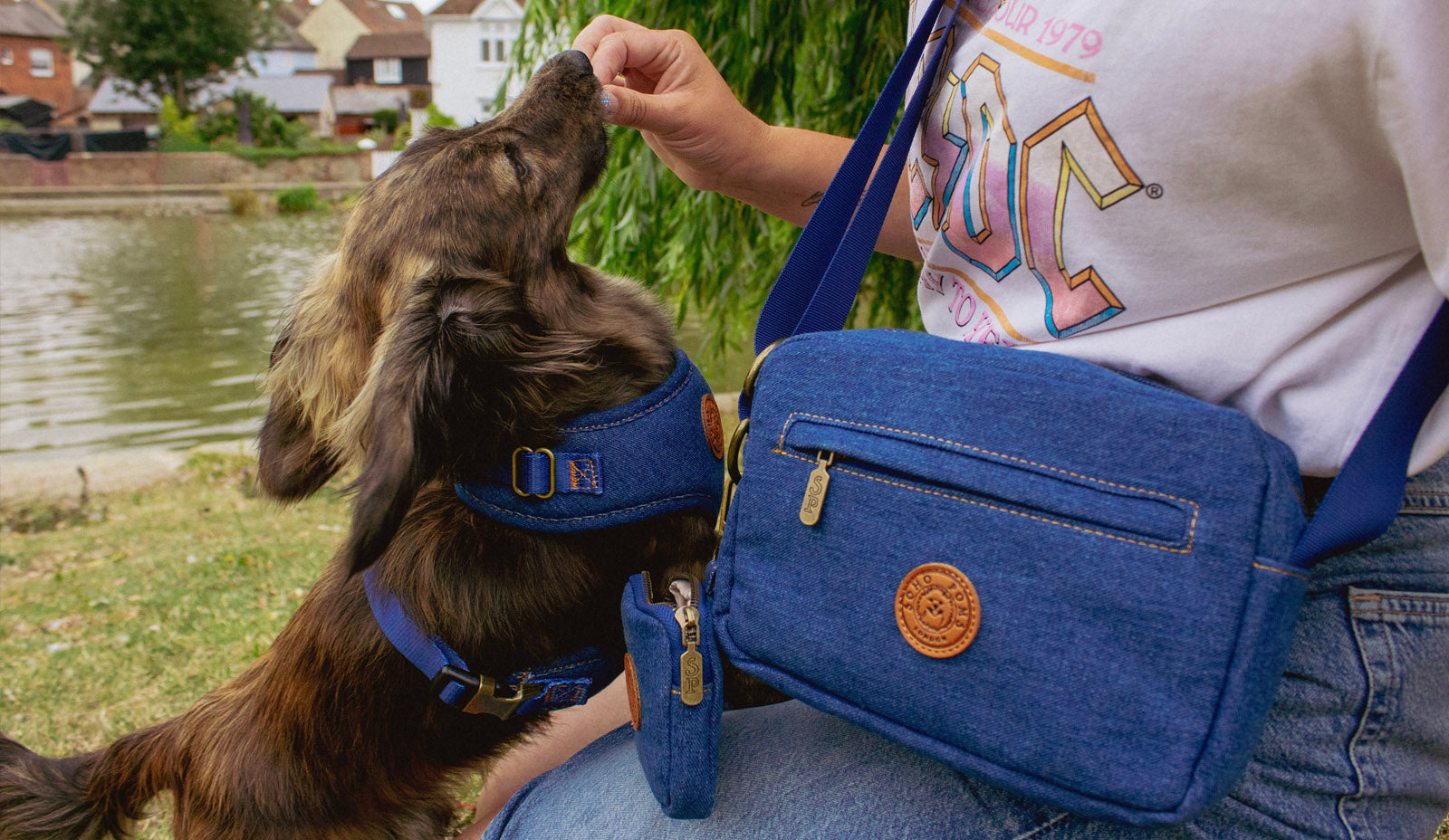 image of a dog in a denim harness taking a treat from a lady with a stunning frith walking bad