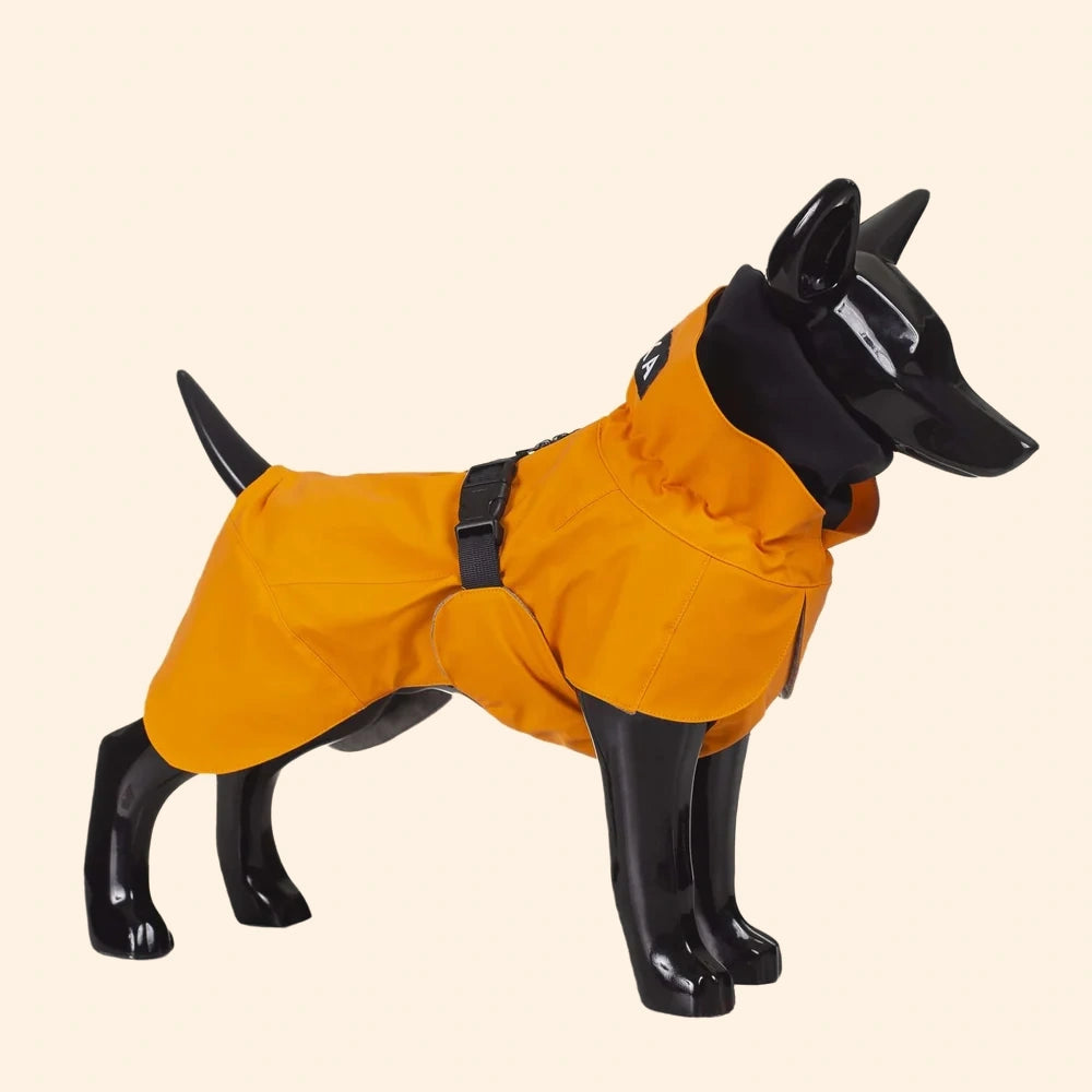 PAIKKA Manteau de récupération pour chien - Orange