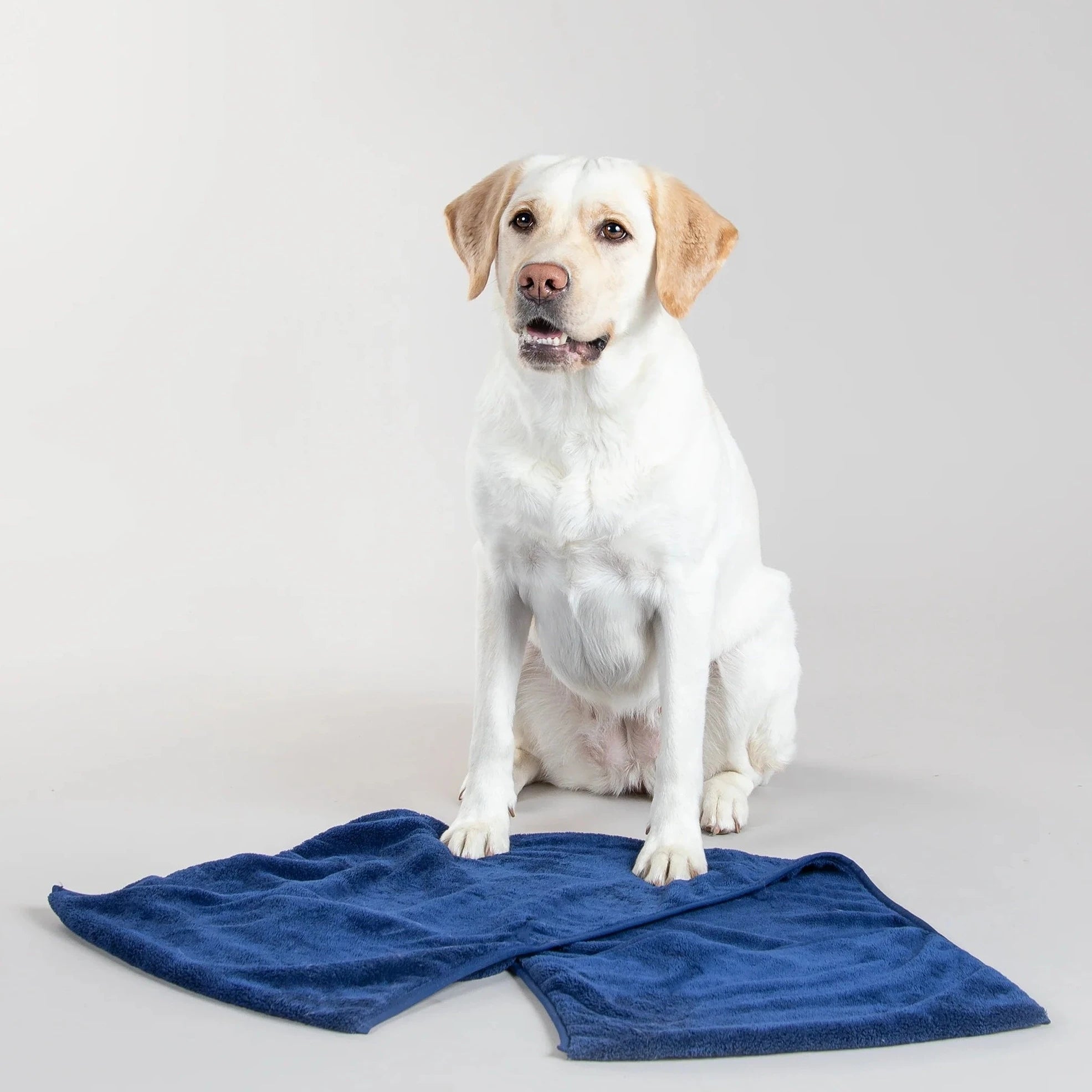Drying Towel for Dogs 40x110cm by Paikka