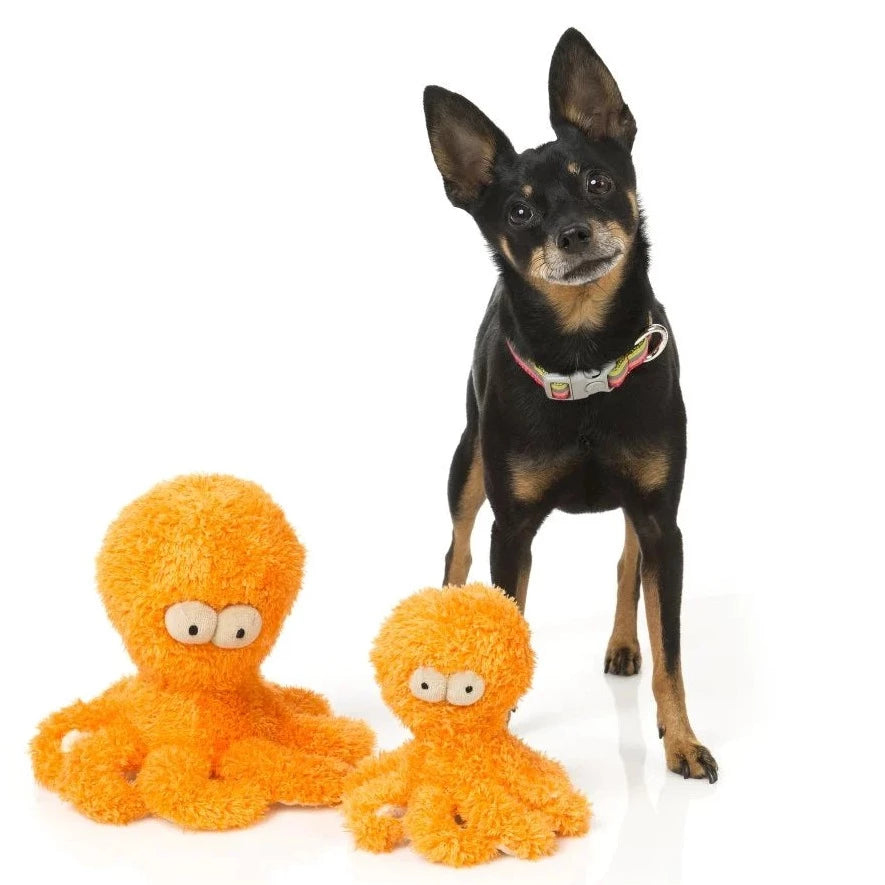 Jouet pour chien en peluche pieuvre FuzzYard Sir Legs-A-Lot