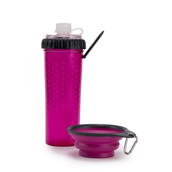 Dexas Snack-DuO with Companion Cup Pro - Fushsia