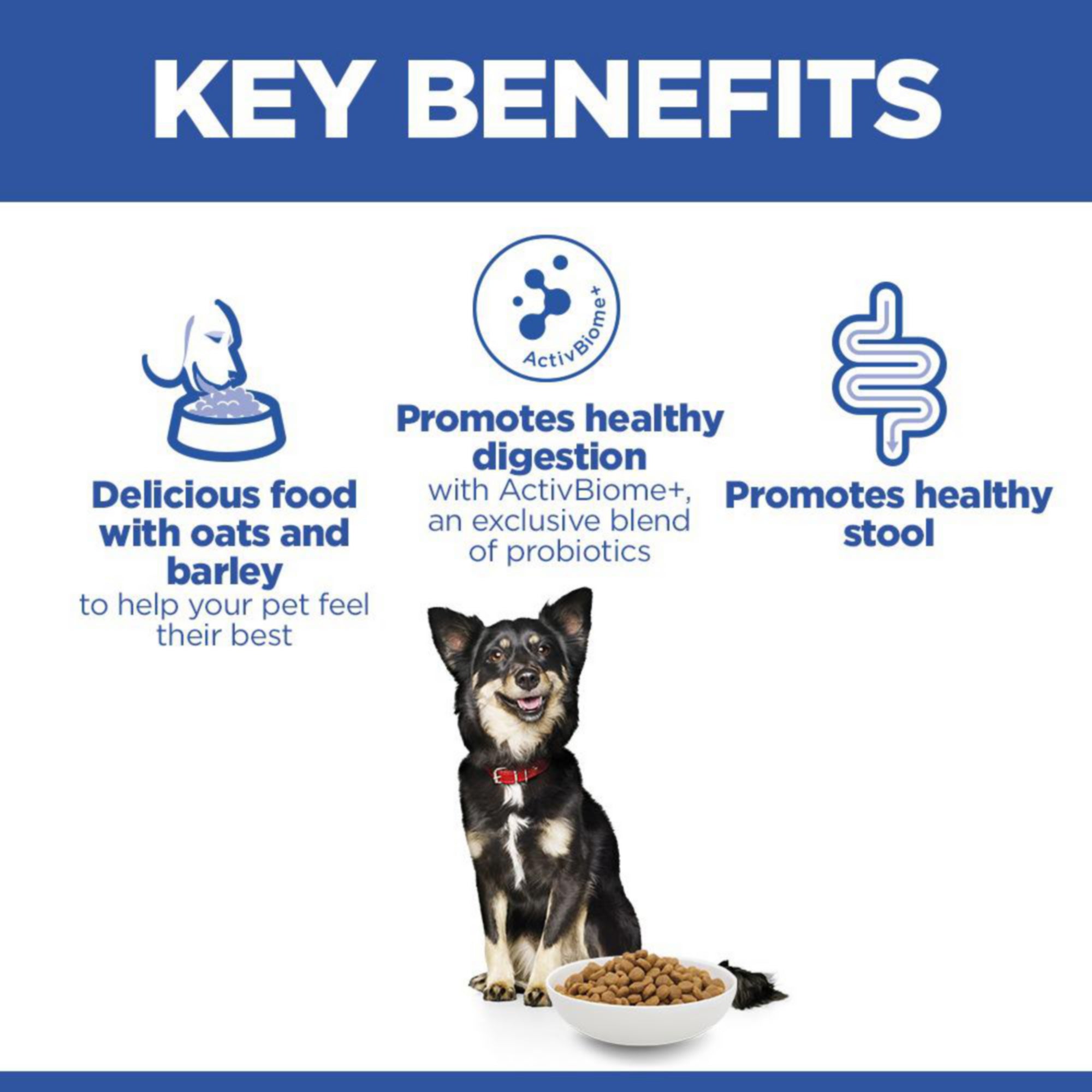 Hills Science Plan Perfect Digestion Adult Small & Mini Dry Dog Food Chicken & Brown Rice