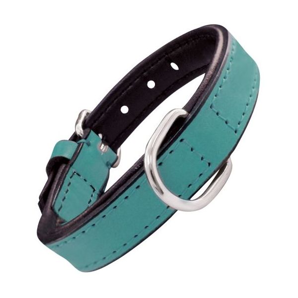 Gloria Pets Teal Padded Collar