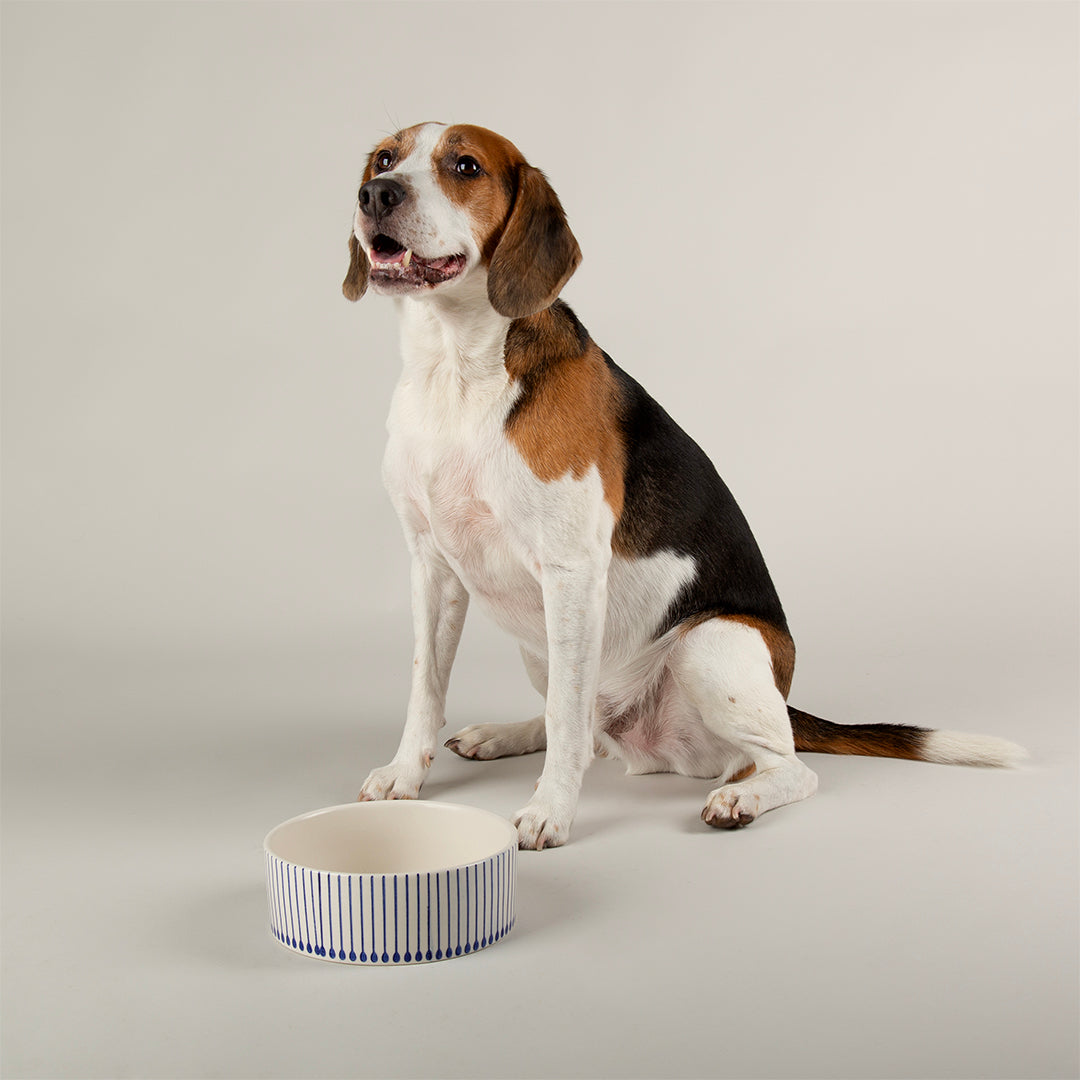 Scruffs® Coastal Food Bowl - 19cm