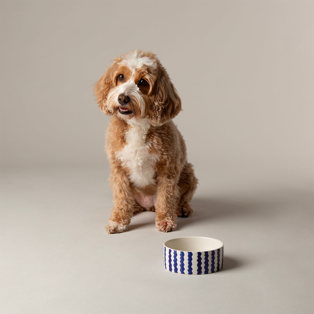 Scruffs® Coastal Food Bowl - 13cm