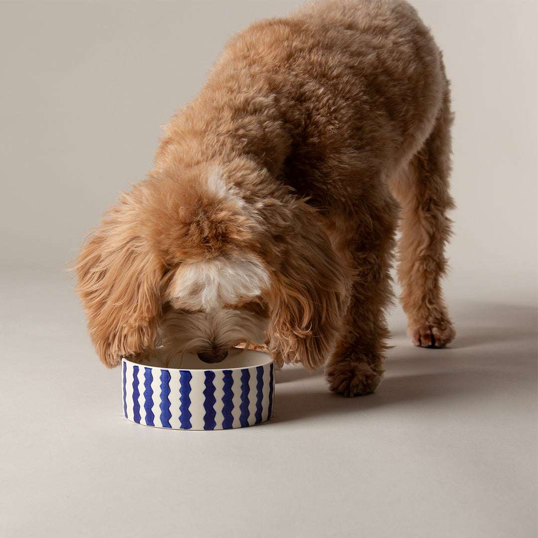 Scruffs® Coastal Food Bowl - 13cm