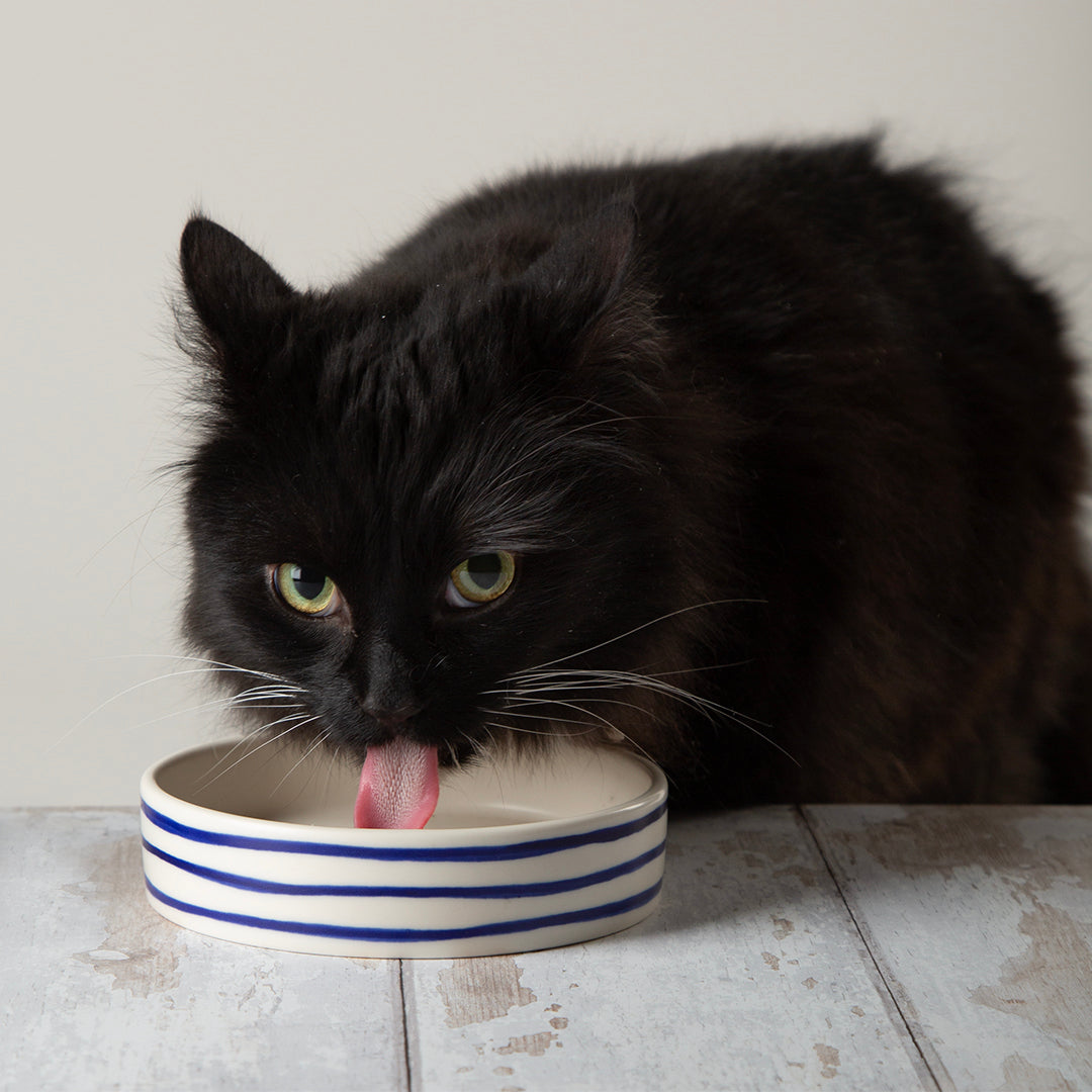 Scruffs® Coastal Pet Saucer - 13cm