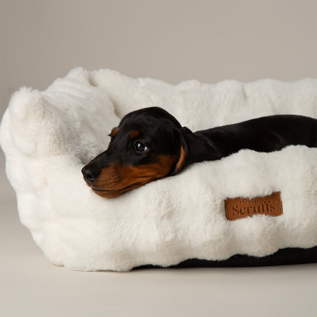 Scruffs® My First Box Bed - Cream