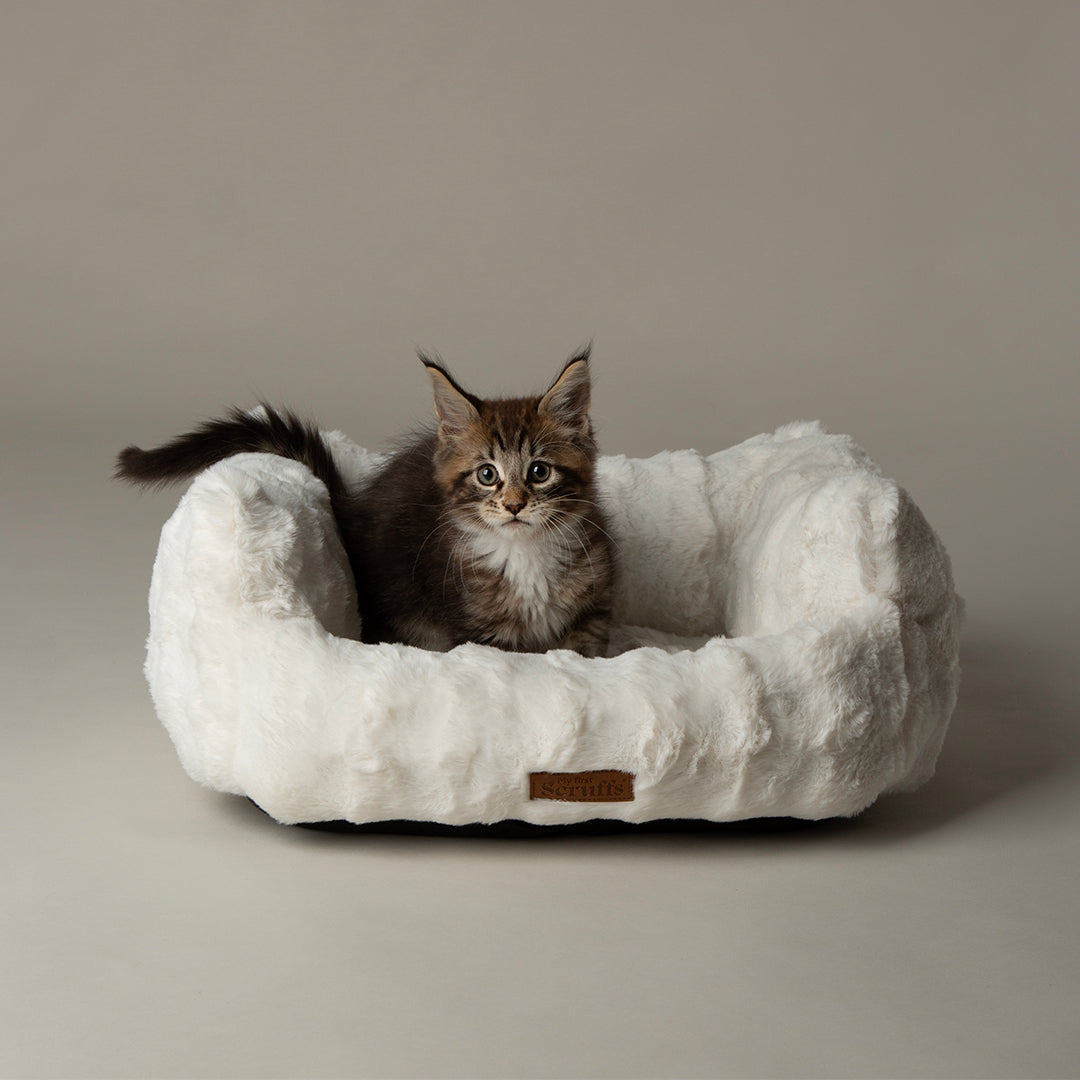 Scruffs® My First Box Bed - Cream