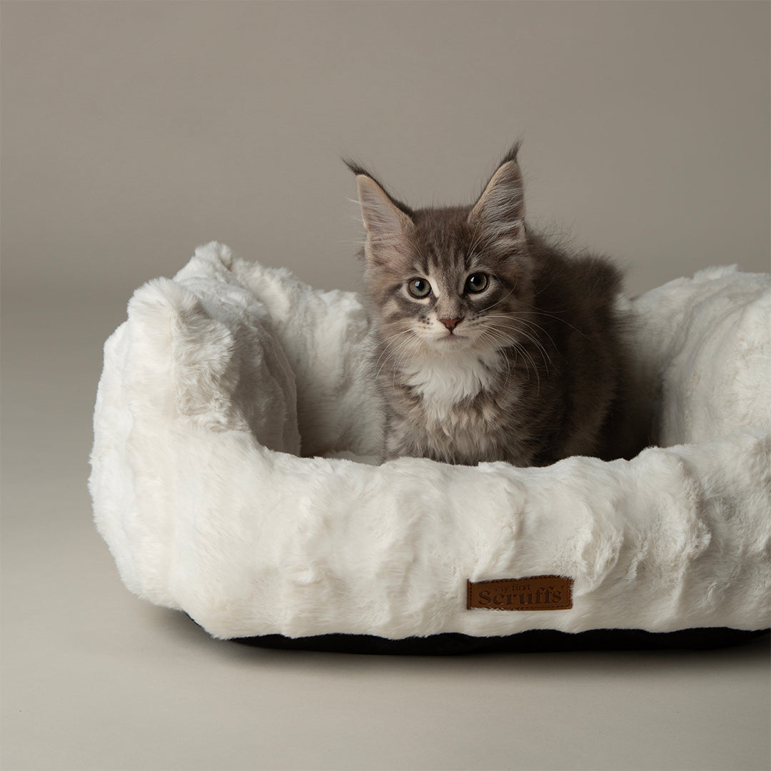 Scruffs® My First Box Bed - Cream