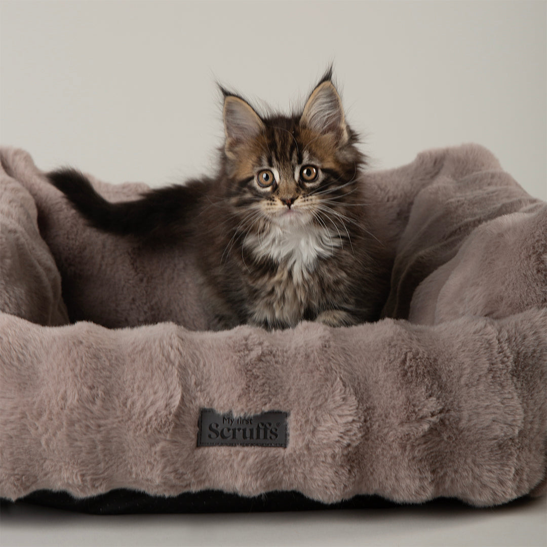 Scruffs® My First Box Bed - Grey