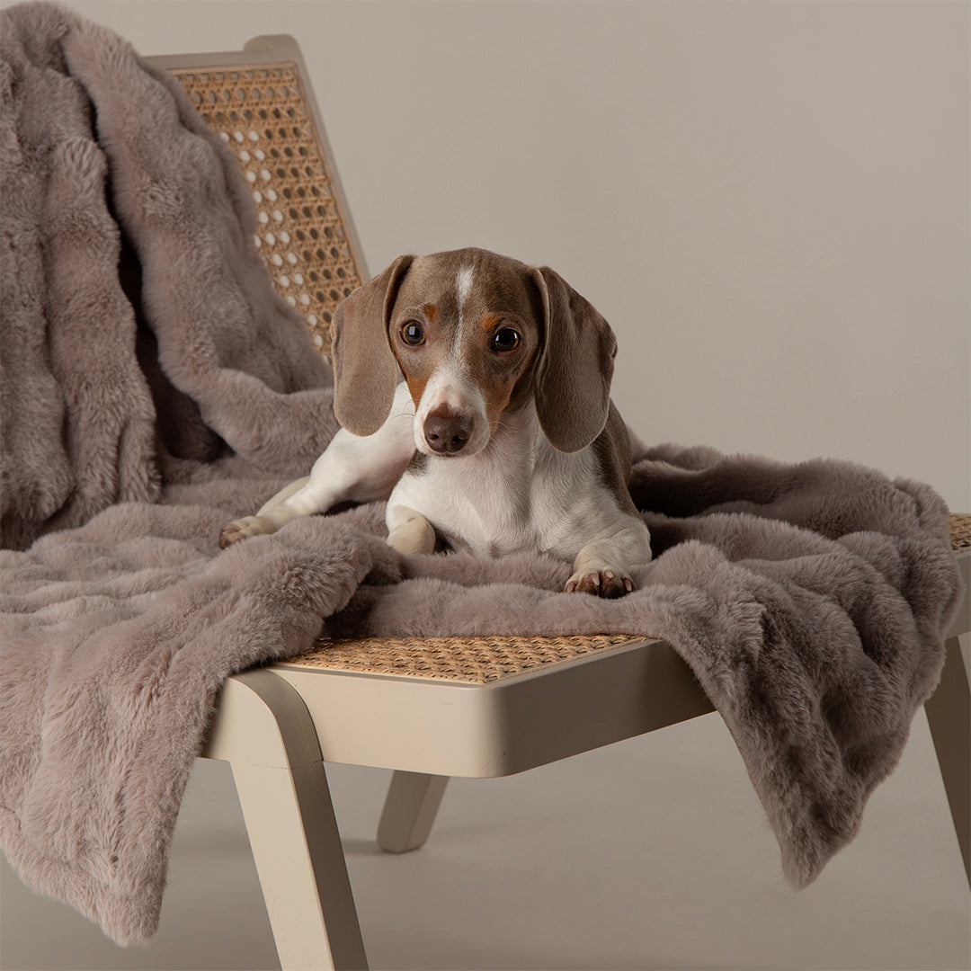 Scruffs® My First Blanket - Grey