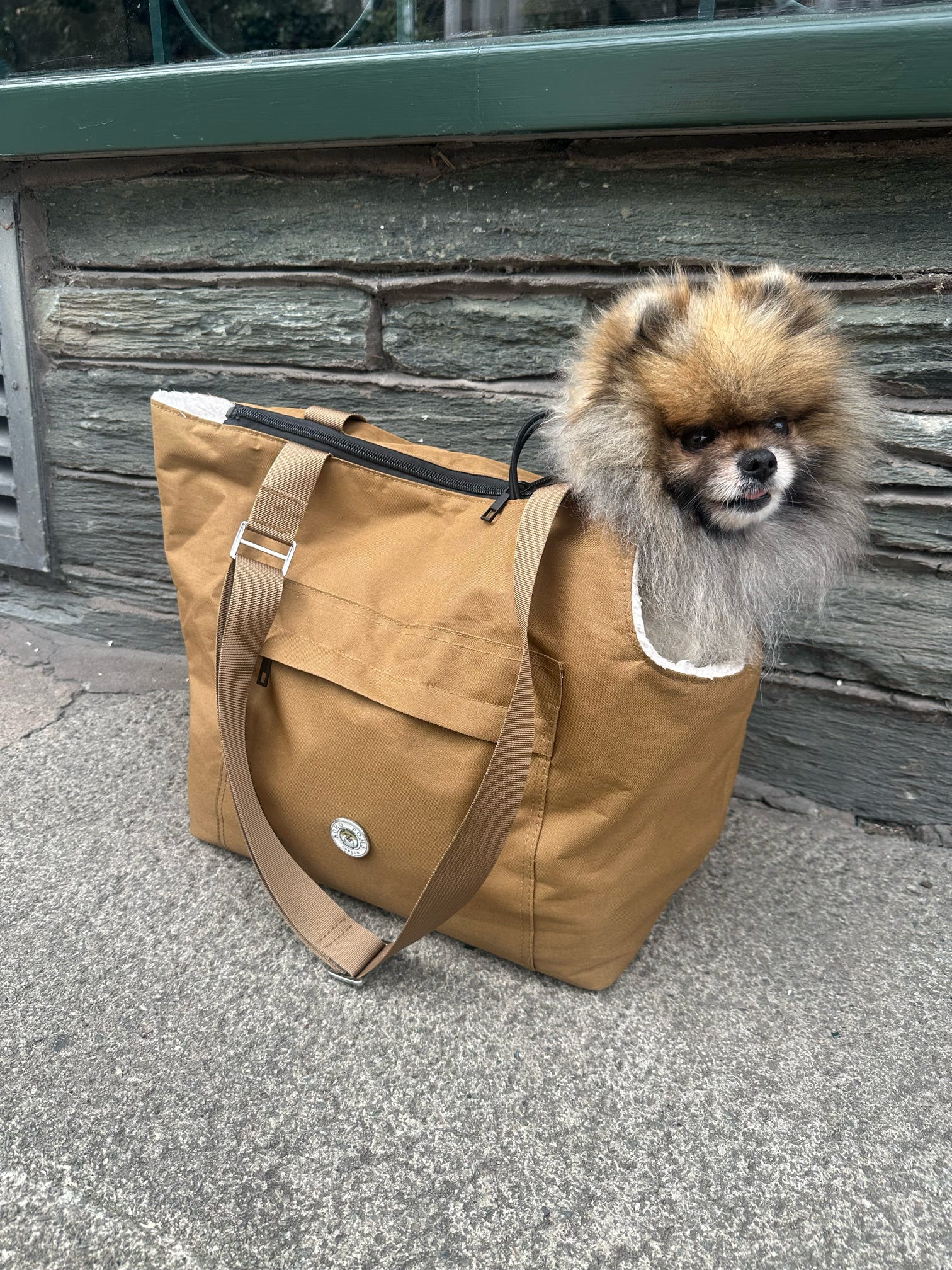 Soho Poms Rainy Bear Hundetragetasche in Hellbraun & Creme