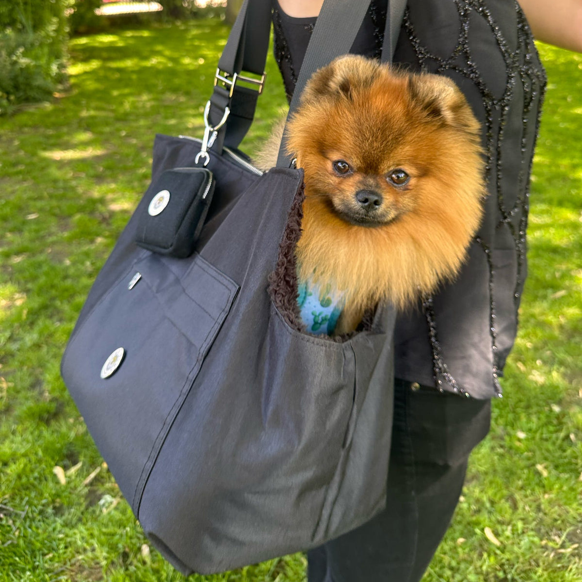 Soho Poms Compton All Black Pet Carrier - Ideal for Dogs & Cats