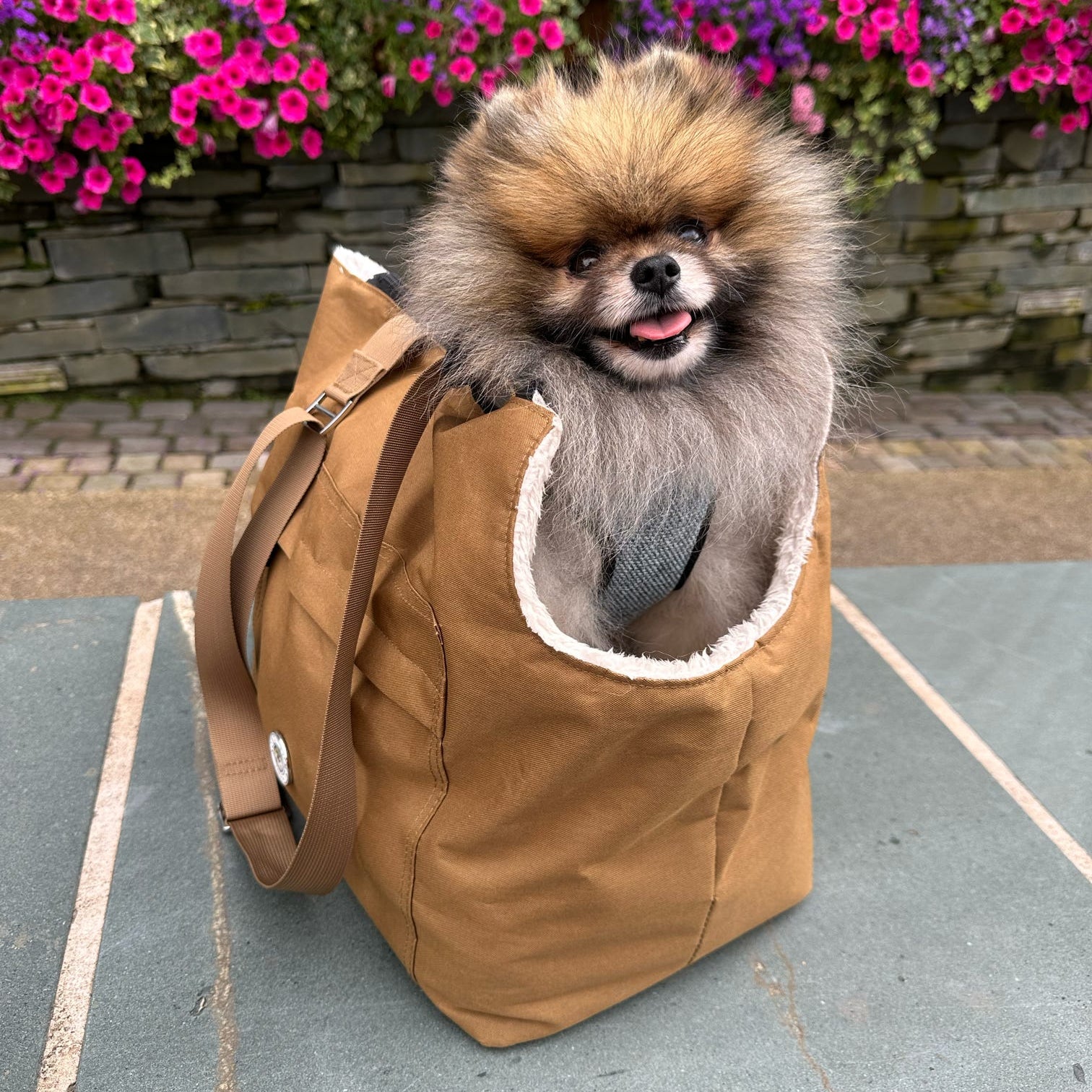 Porte-chien Suzy's Fashion Rainy Bear noir et rose