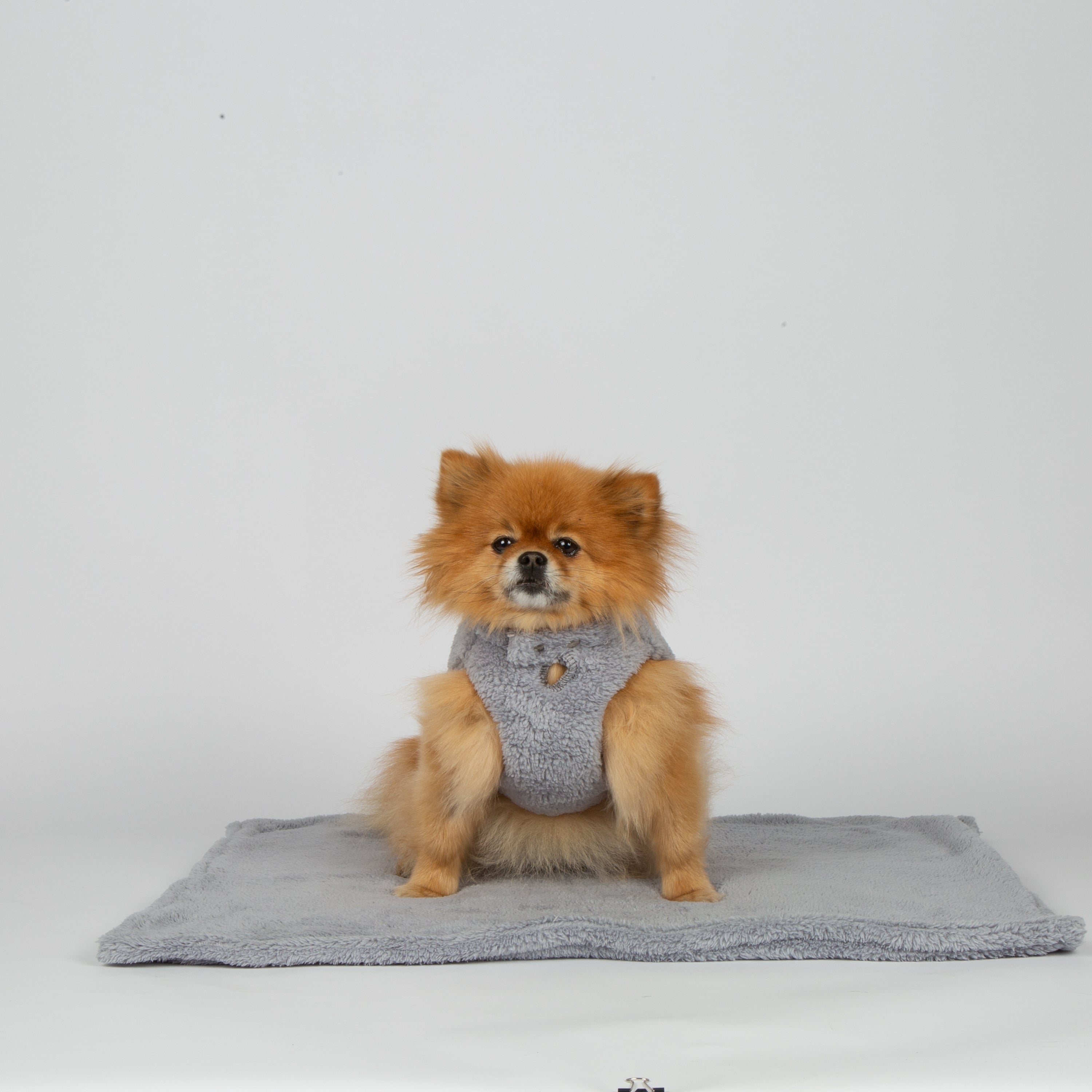 Teddybärjacke Grau von SohoPoms *Limitierte Auflage