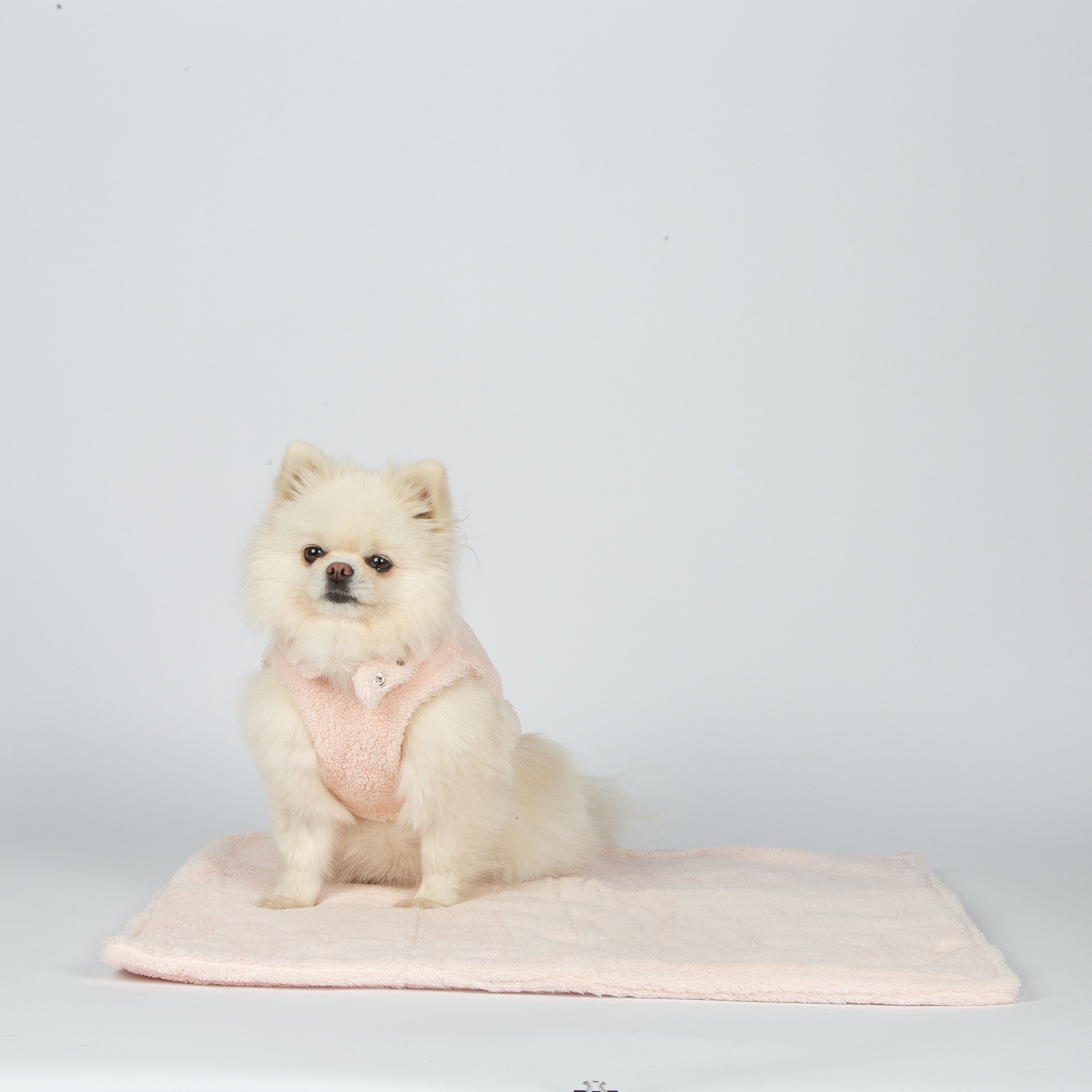 Teddy Bear Jacket Pink by SohoPoms *Limited Edition