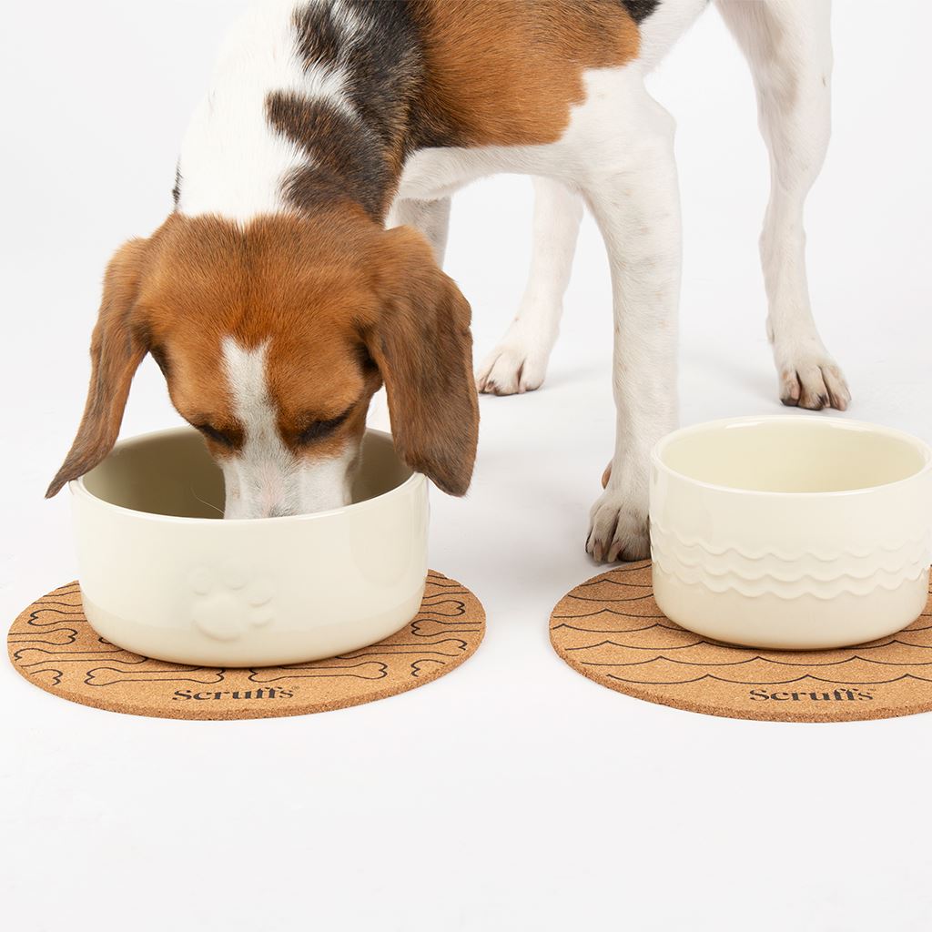 Scruffs 25cm Set of 2 Cork Pet Placemats - Wave & Bone