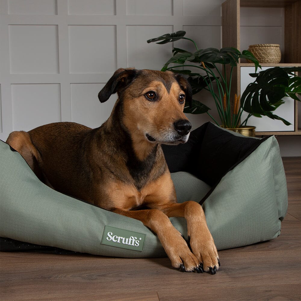 Scruffs Expedition Box Bed - Khaki Green