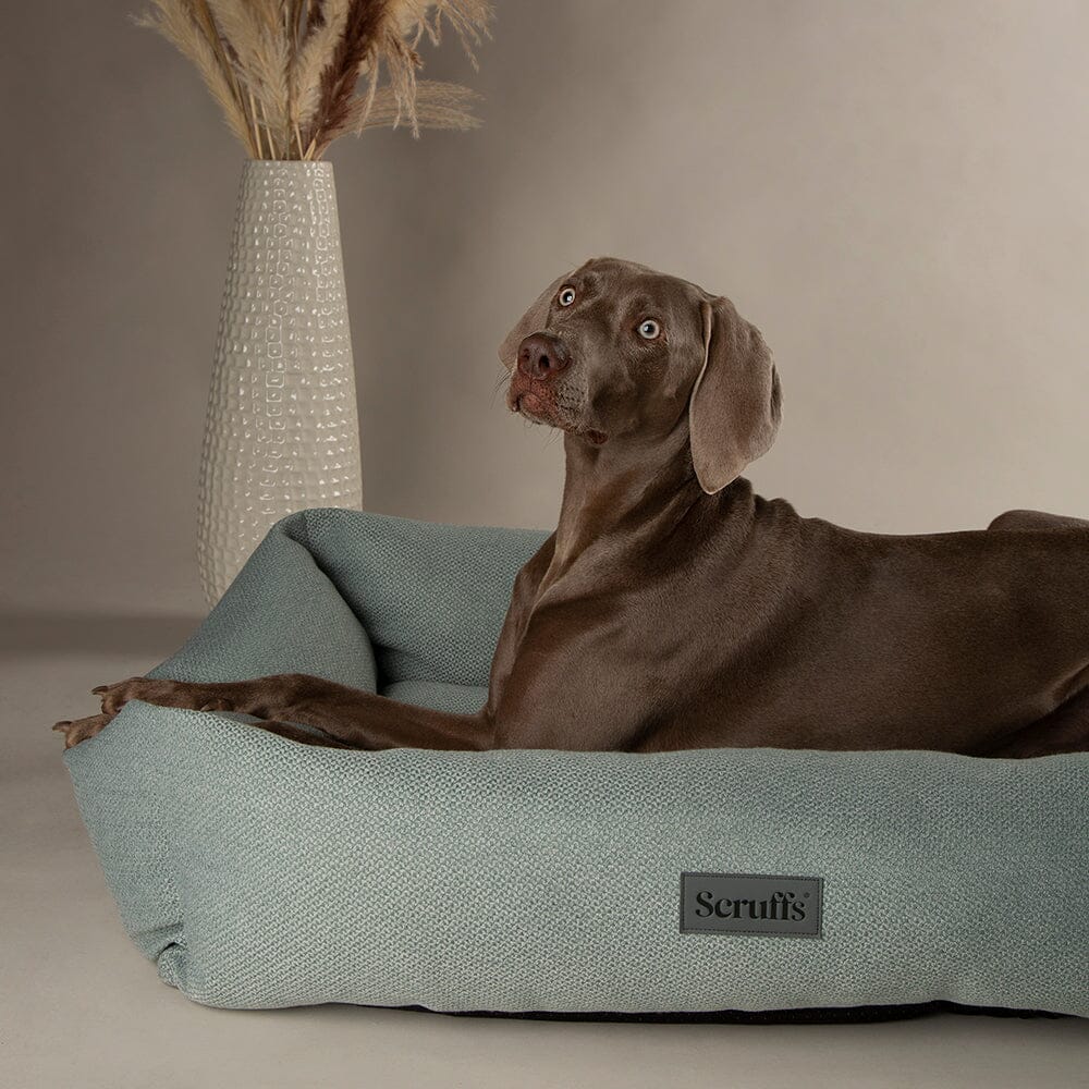 Scruffs Seattle Box Bed - Topaz Green