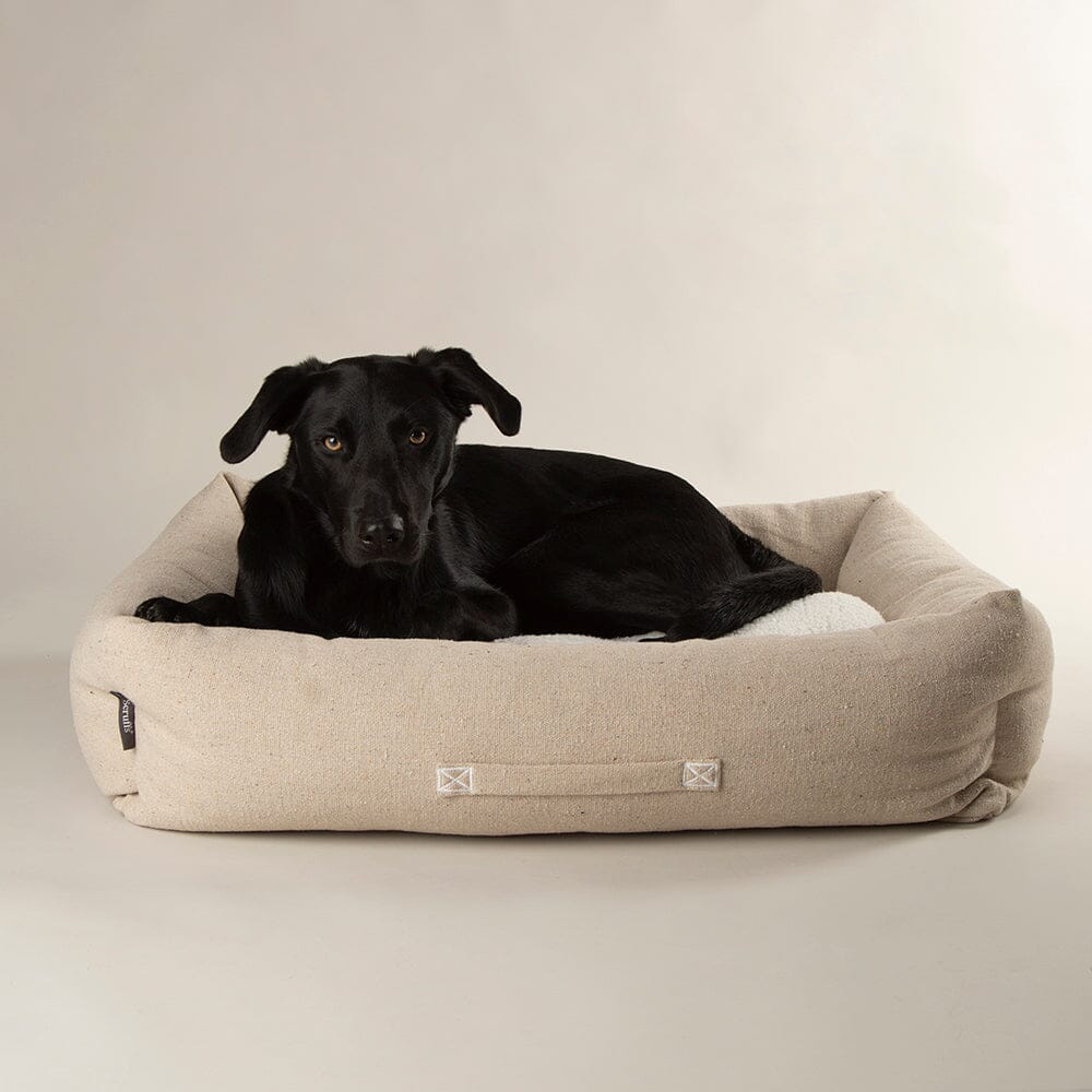 Scruffs EDEN Eco Hundebett in Anthrazit