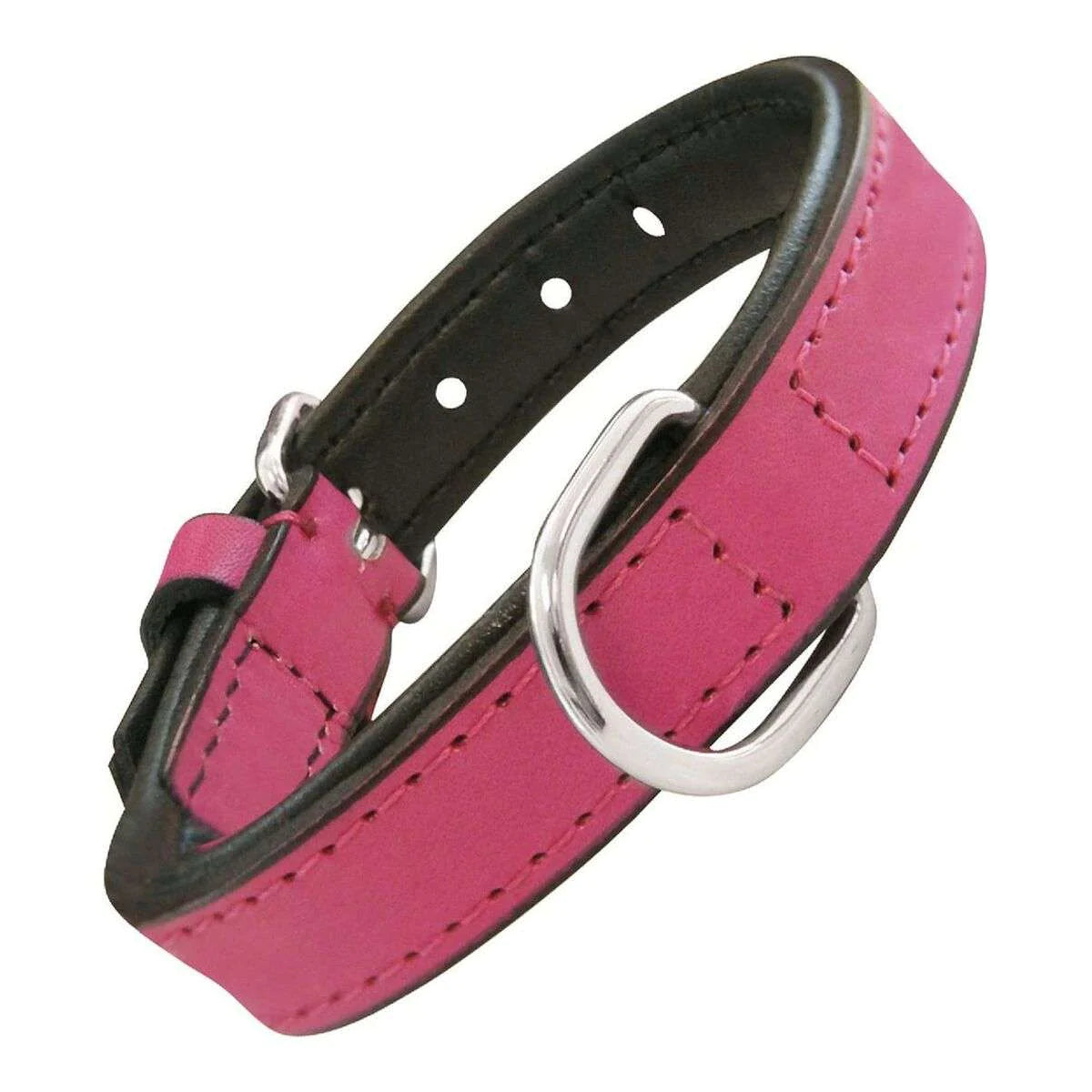 Collier pour chien rembourré Gloria multicolore