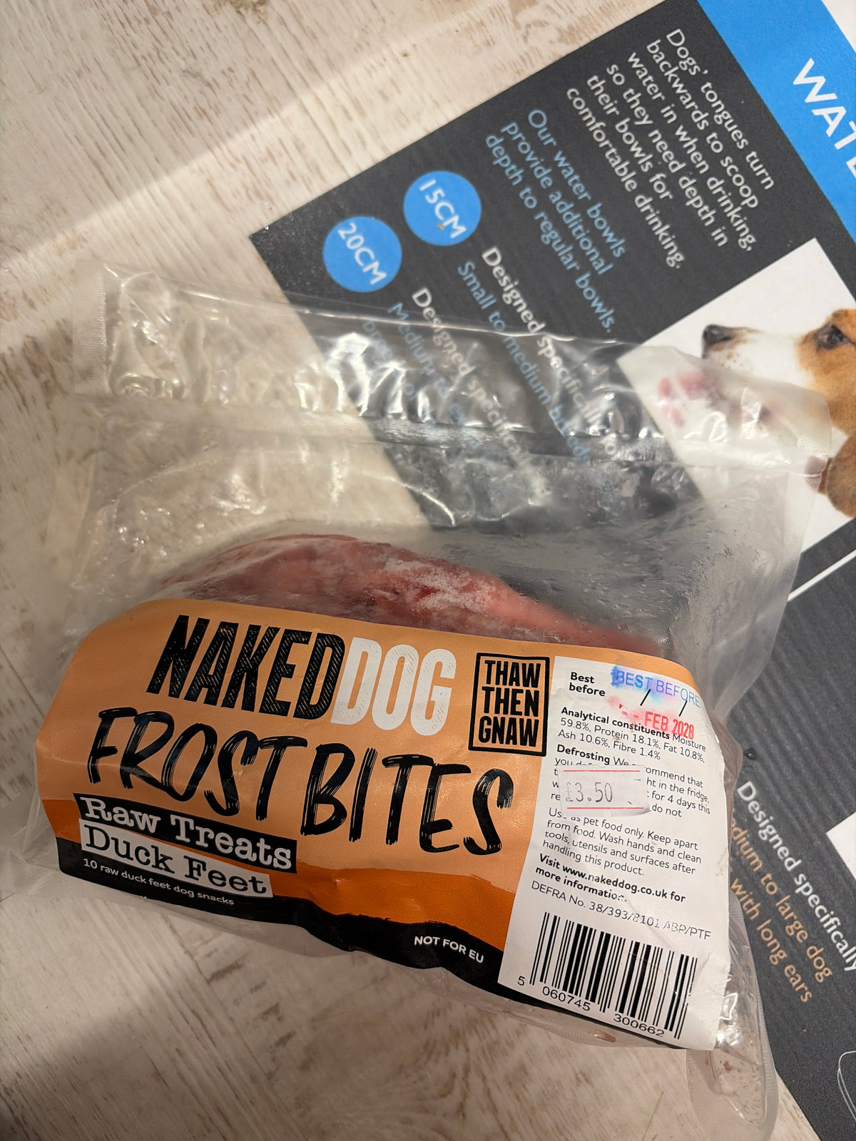 Naked dog frost bites duck feet