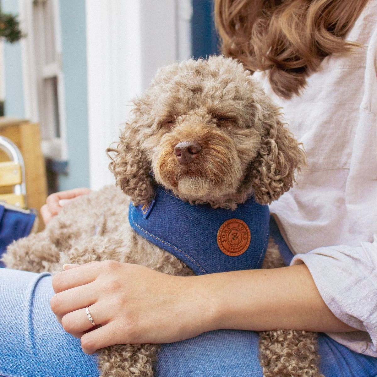 Soho Poms Frith Denim Harness - Classic Rinse