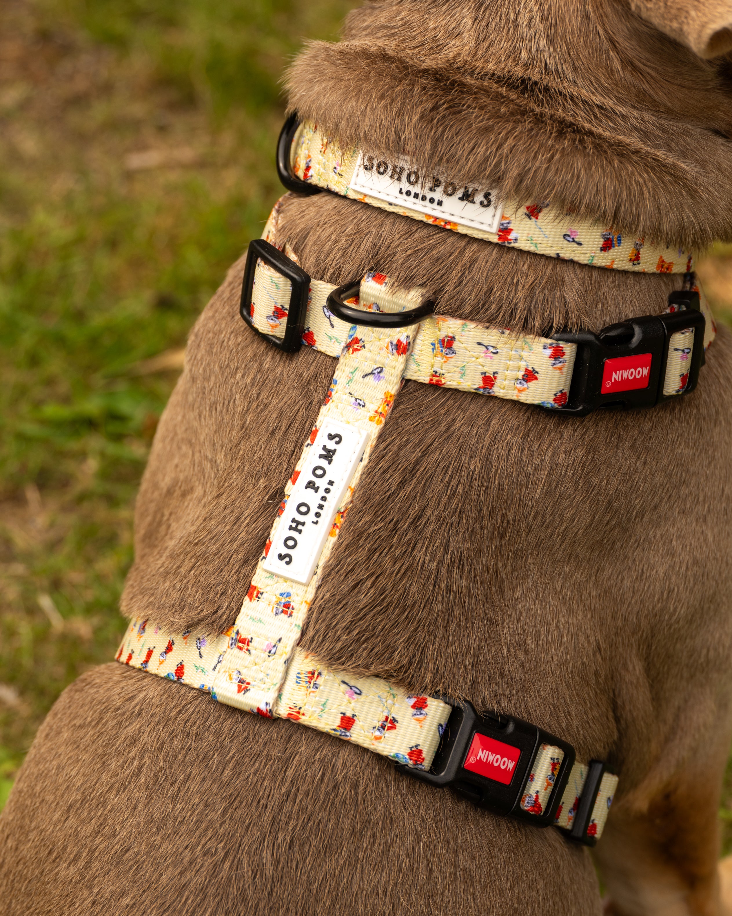 Moomins Yellow Sunrise Dogs H-Harness by Soho Poms