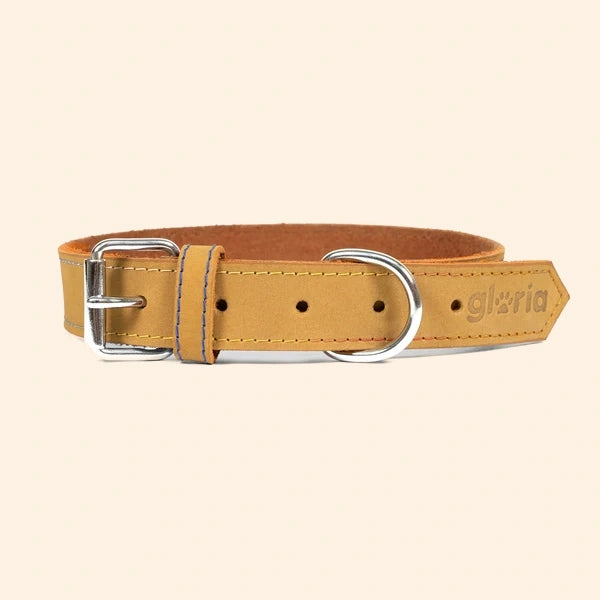 Gloria Pets Yellow Brown Nobuck Oasis Padded Collar