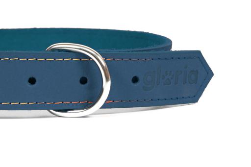 Gloria Pets Blue Oasis Padded Collar