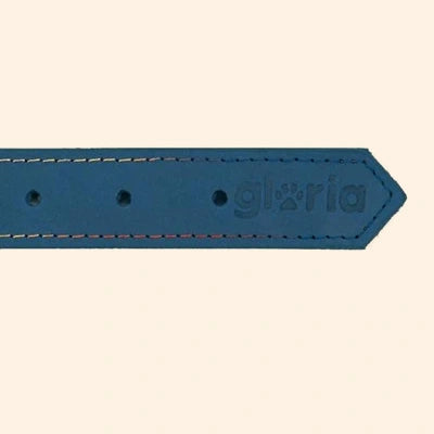 Gloria Pets Blue Oasis Padded Collar