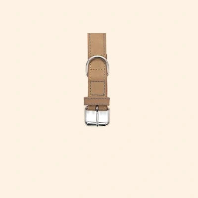 Gloria Pets Light Brown Nobuck Oasis Padded Collar