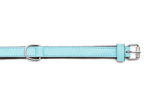 Gloria Pets Light Blue Padded Collar