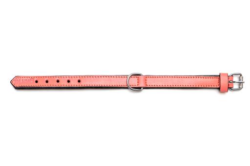 Gloria Pets Orange Padded Collar