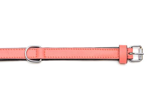 Gloria Pets Orange Padded Collar