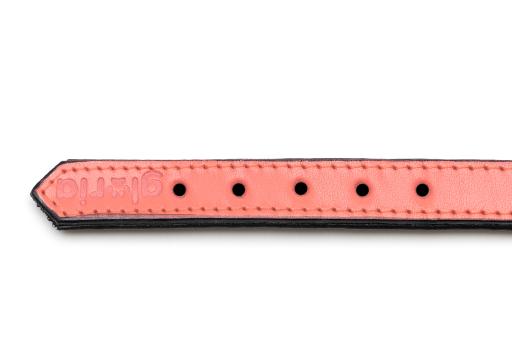 Gloria Pets Orange Padded Collar