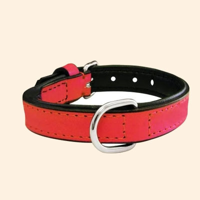 Gloria Pets Orange Padded Collar