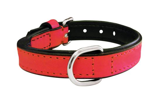 Gloria Pets Orange Padded Collar