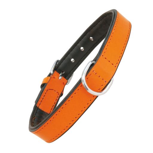 Gloria Pets Orange Padded Collar