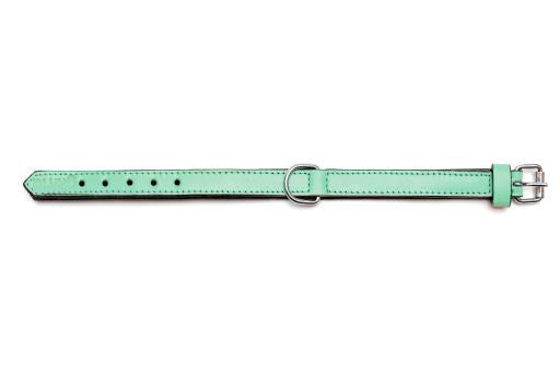 Gloria Pets Green Padded Collar