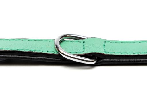 Gloria Pets Green Padded Collar