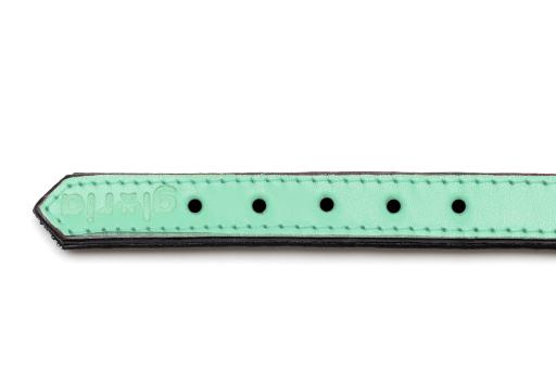 Gloria Pets Green Padded Collar