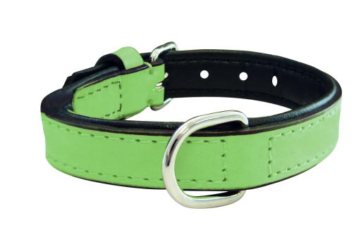 Gloria Pets Green Padded Collar
