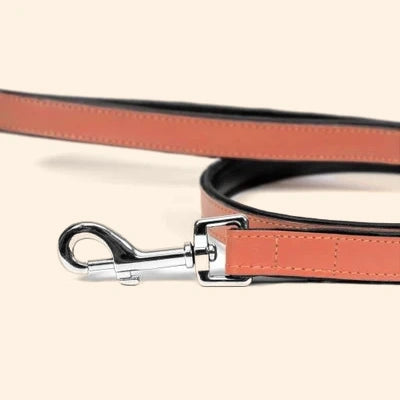 Gloria Pets Orange Padded Lead