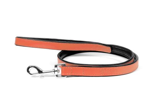 Gloria Pets Orange Padded Lead