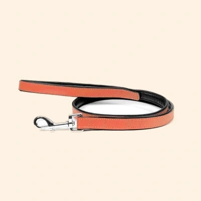 Gloria Pets Orange Padded Lead