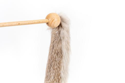 Gloria Pets Niemeyeer Palo With Worm